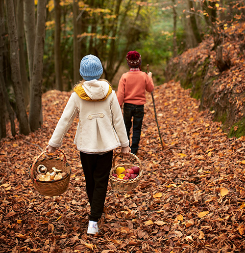 le mont saint michel